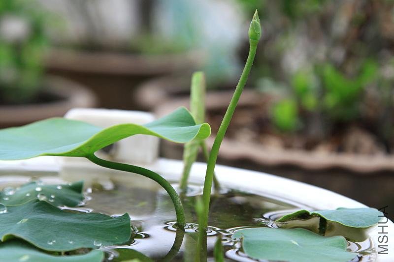 ���� �ɻ�6.JPG