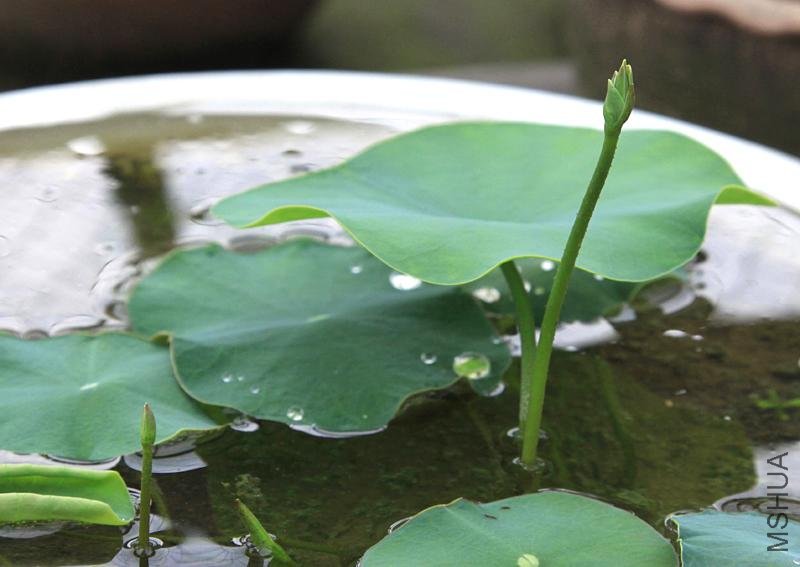 ���� �ɻ�1.JPG