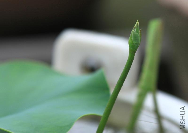 ���� �ɻ�7.JPG