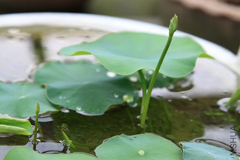 ���� �ɻ�2.JPG