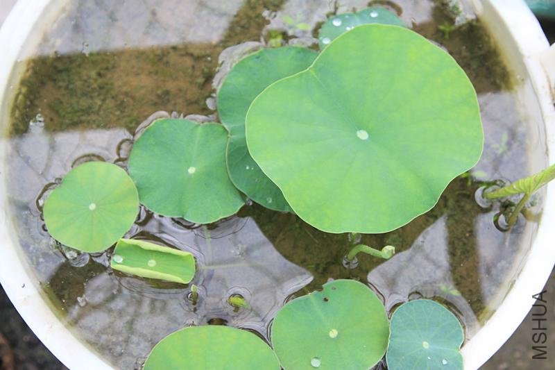 ���� �ɻ�3.JPG