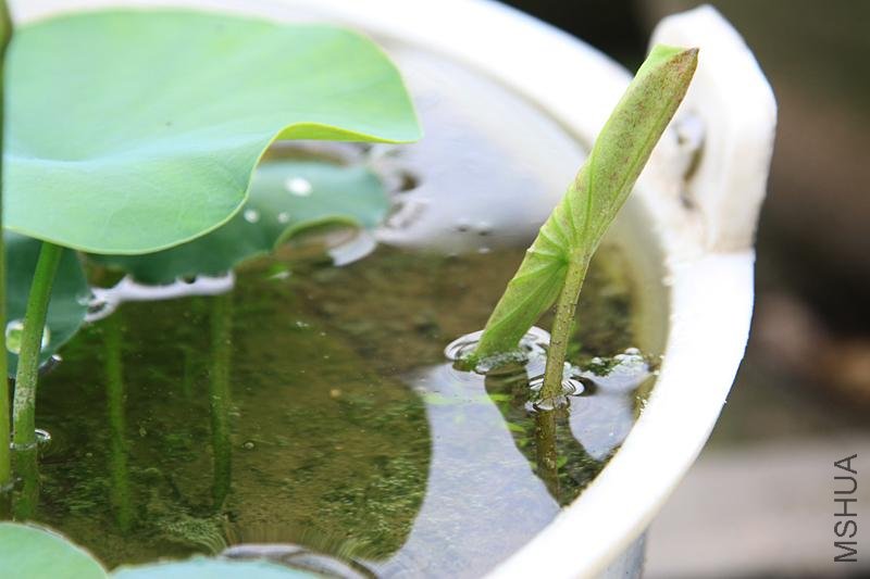 ���� �ɻ�4.JPG