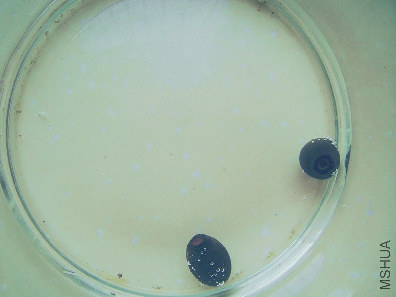 �����ĥ�õ�����..