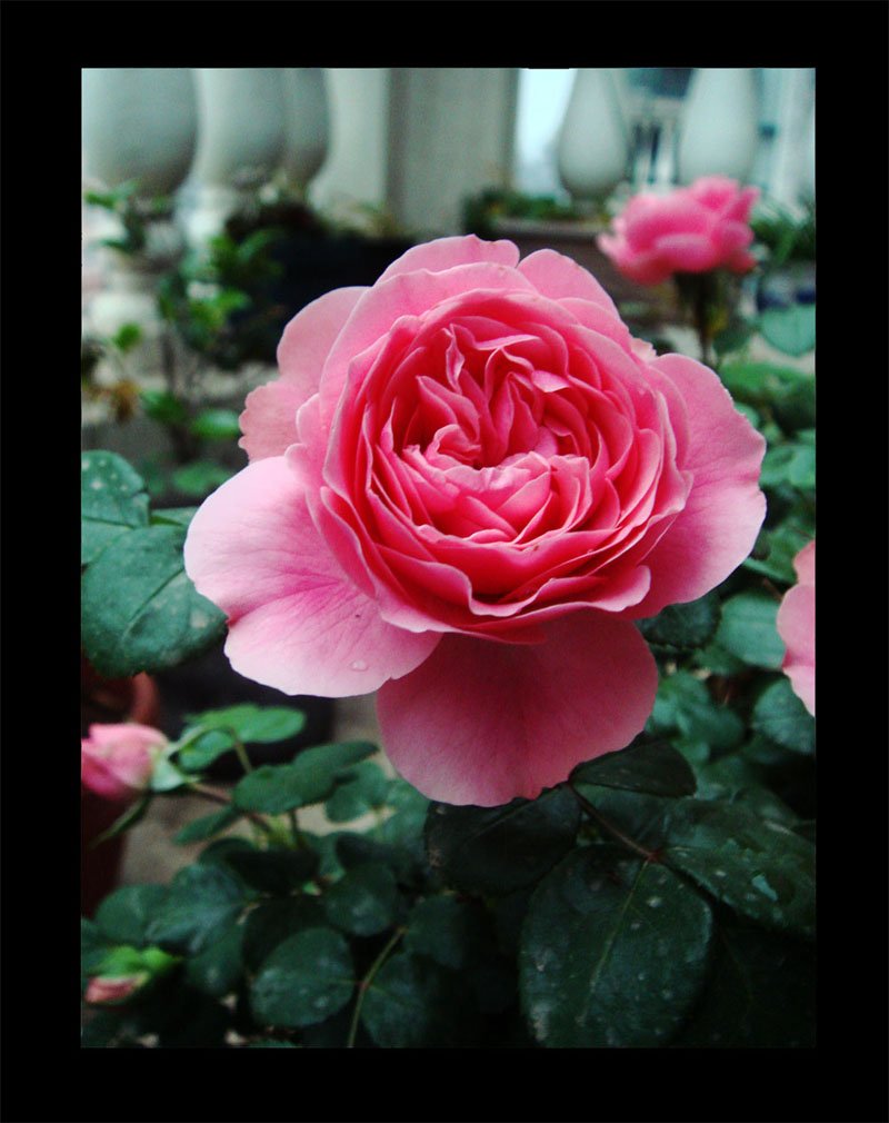 DSC05177.jpg