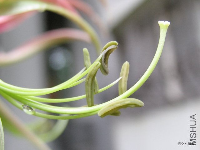 ���۲����� 002.JPG