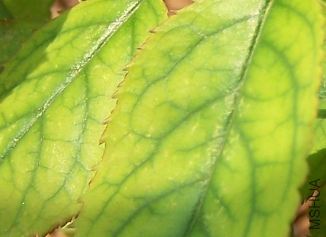 100_7869.JPG