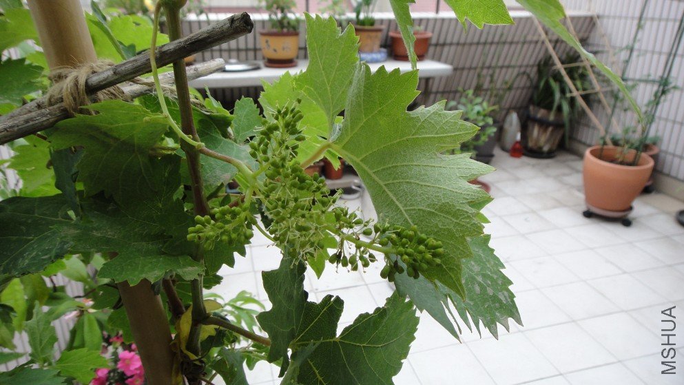 ����201100511 1.JPG