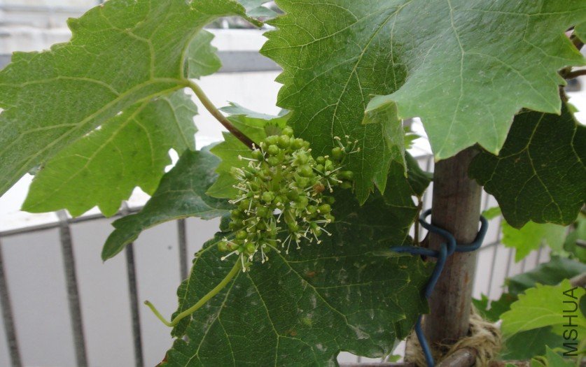 ����201100511 2.JPG