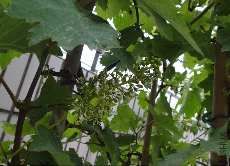 ����201100511 3.JPG