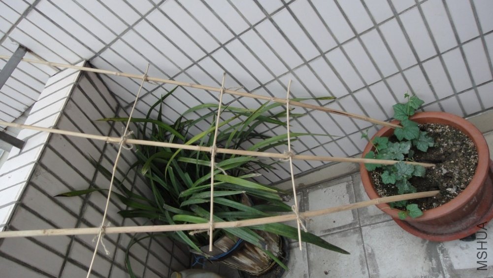 ˿��20110511 1.JPG