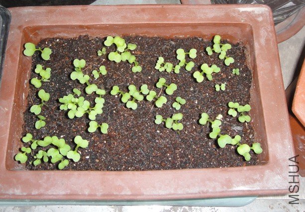 �Ͳ�201100511 1.JPG