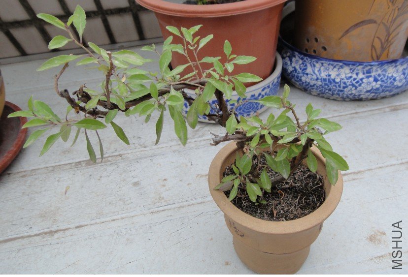 ���20110511 1.JPG