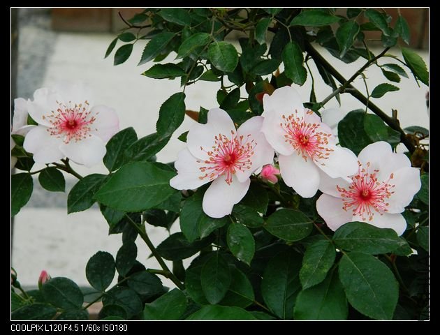 nEO_IMG_���� 334.jpg