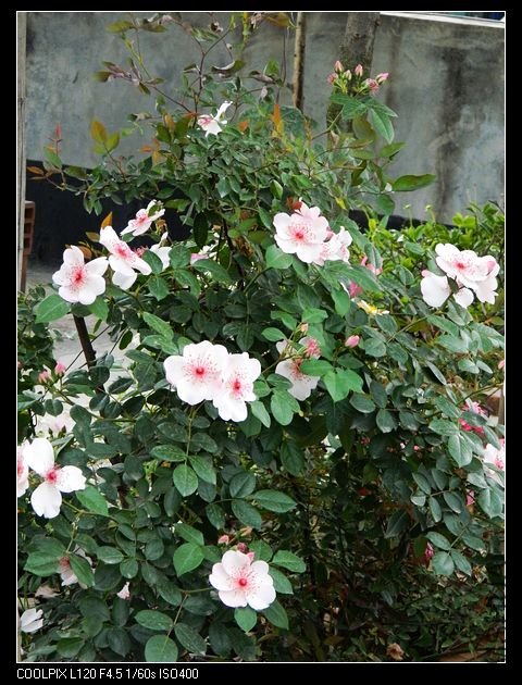 nEO_IMG_���� 332.jpg