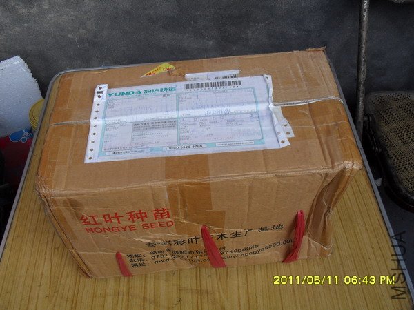 SDC19209.jpg