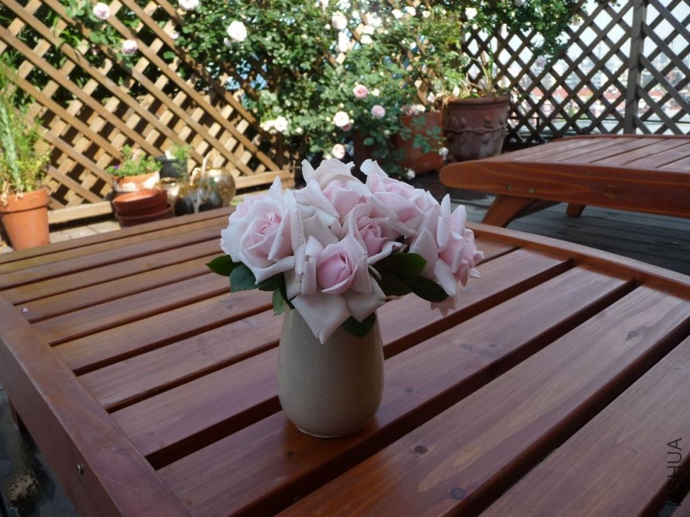 P1150116.JPG