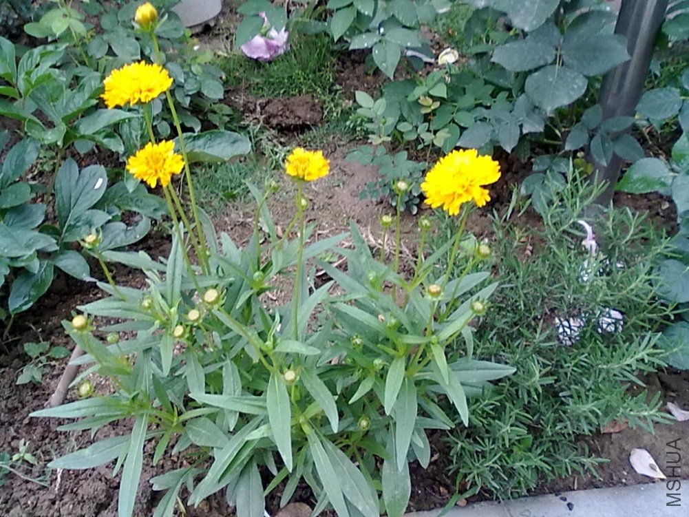 20110512783.jpg