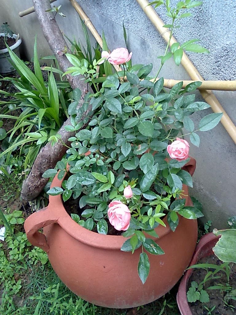 20110512791.jpg