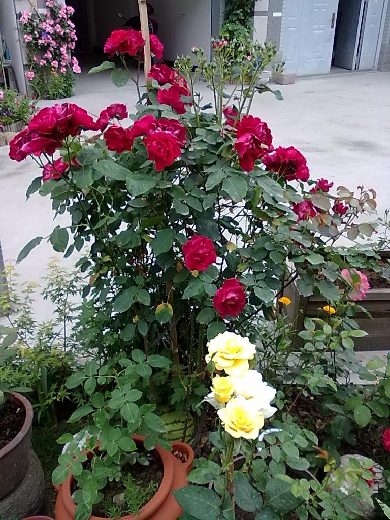 20110512797.jpg