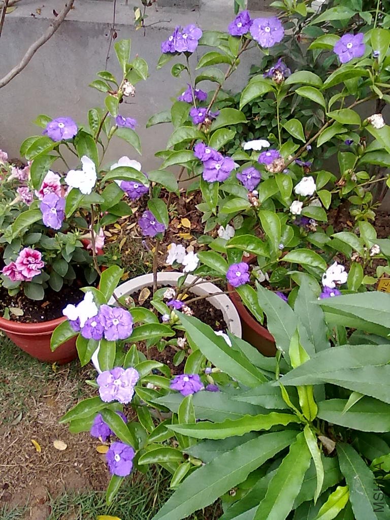 20110512793.jpg