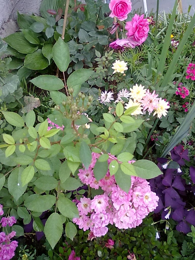 20110512799.jpg
