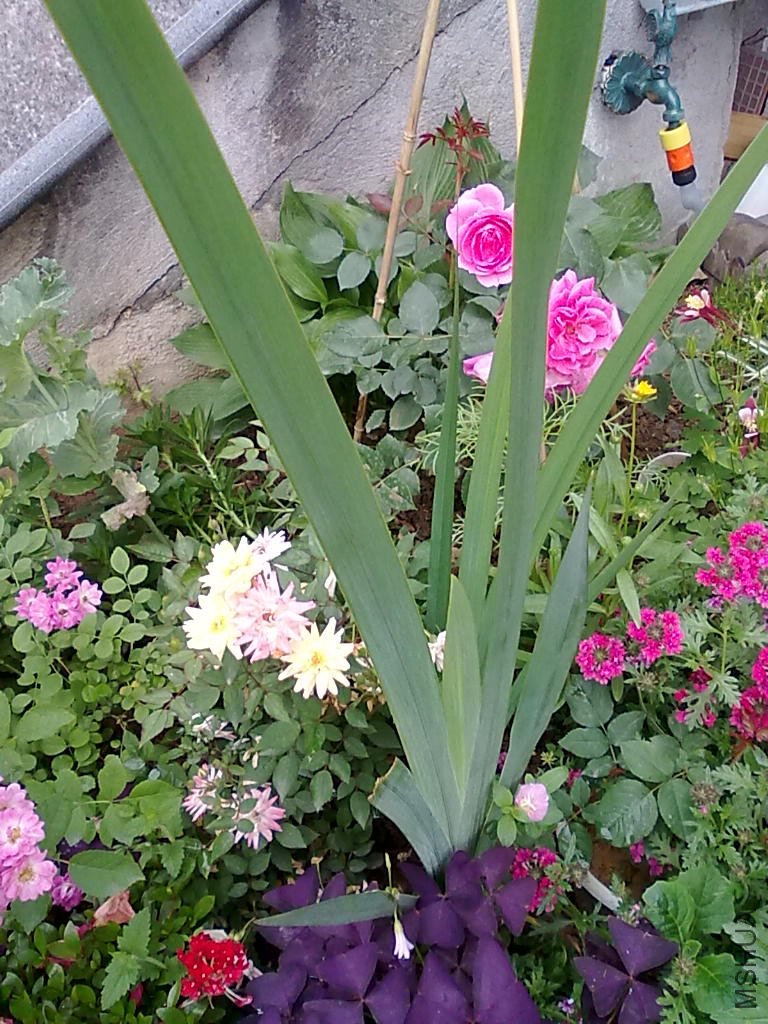 20110512798.jpg