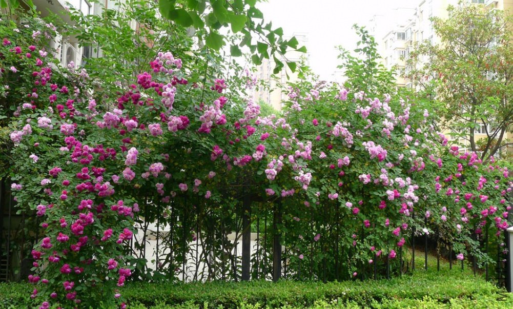Ǿޱ02.jpg