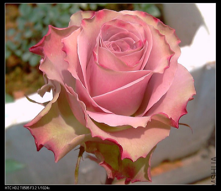IMAG0943.jpg
