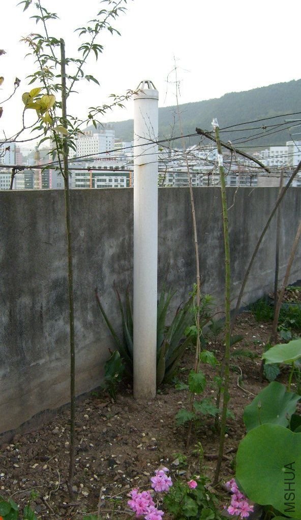 S6303813.JPG