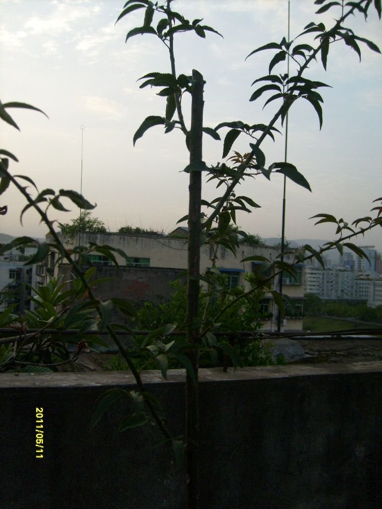 S6303812.JPG