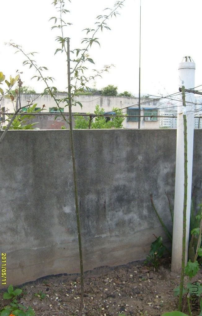 S6303811.JPG