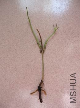 ������С ��ת ������С IMG_1327.JPG