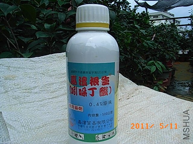 R0016564.JPG