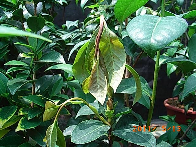 R0016598.JPG