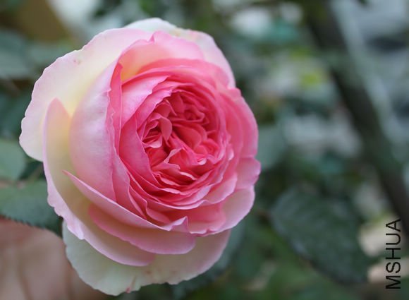��Ƭ_029.jpg
