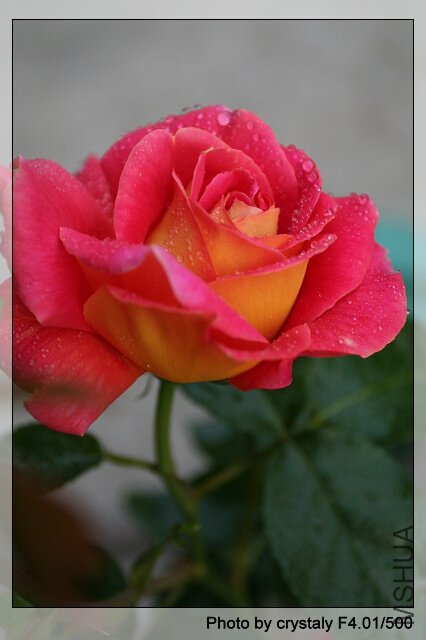 0IMG_9438.jpg