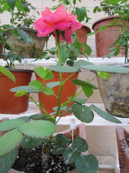 ����������2