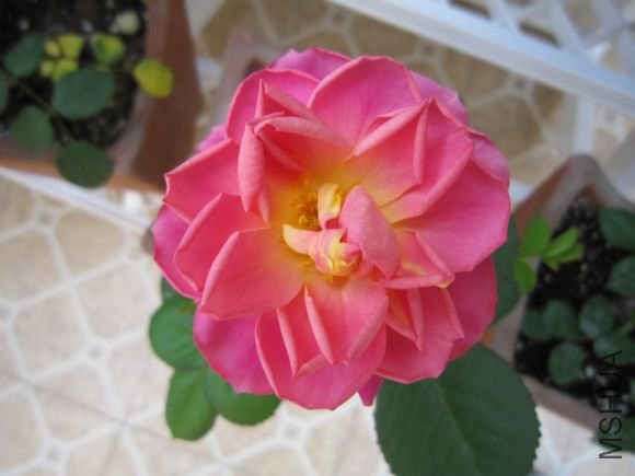 ����������1