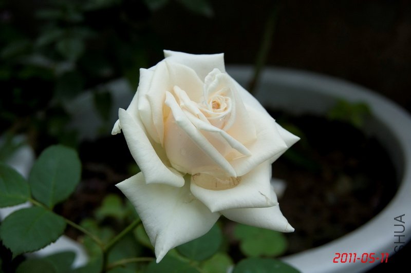 �ҵ���