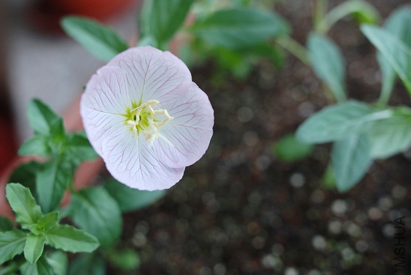 DSC_9372-(2).jpg