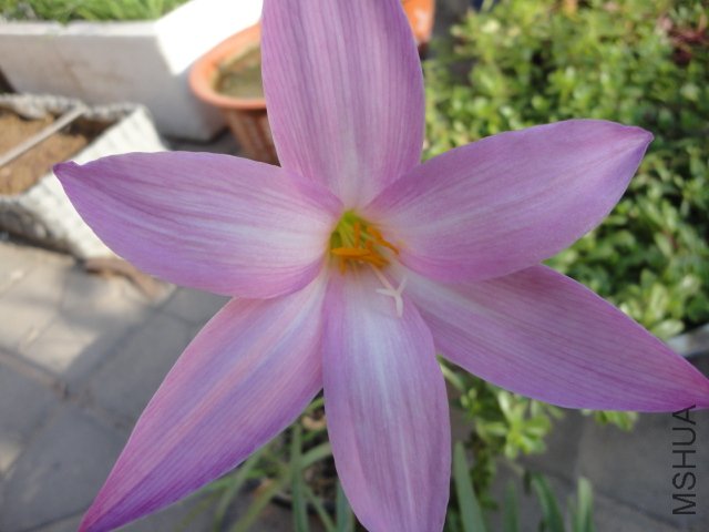 DSC00703.JPG