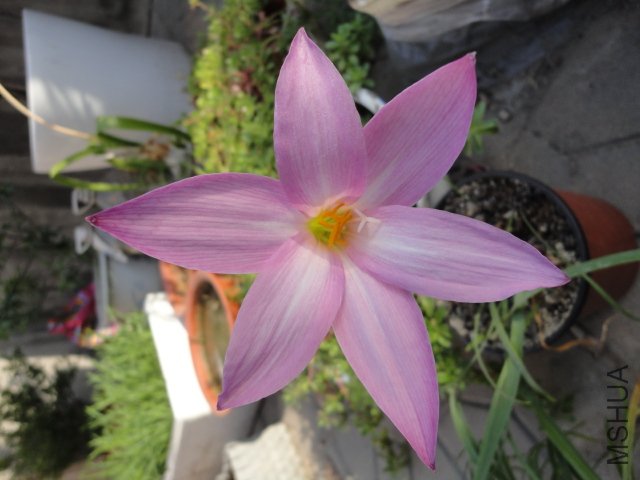 DSC00701.JPG