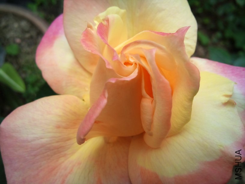 DSC_0056.jpg