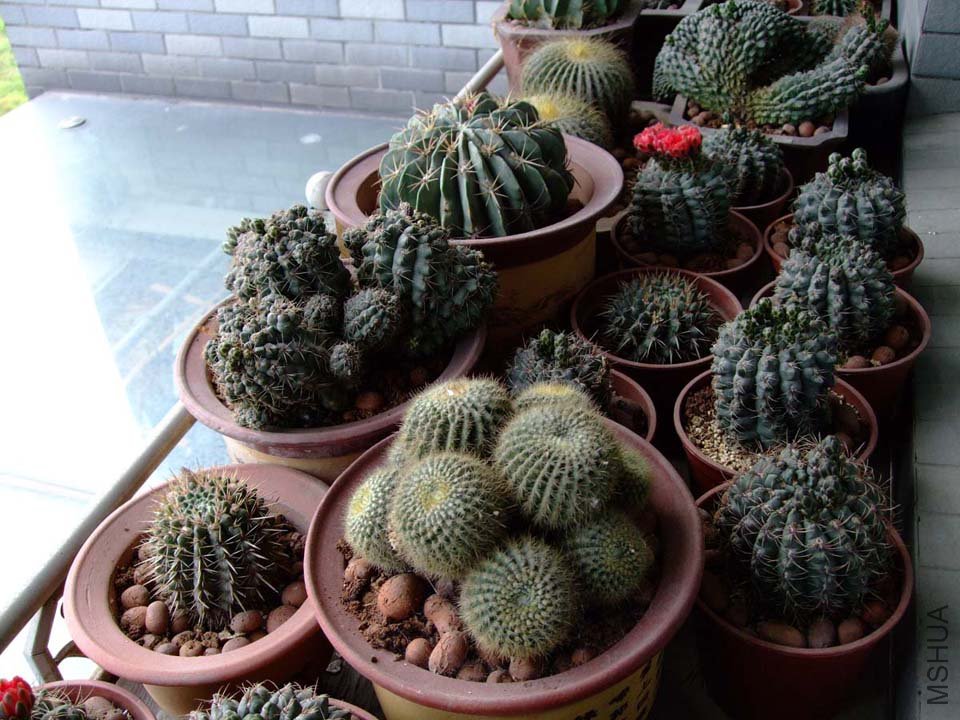 ��Ƭ11-5-15f 01311.jpg