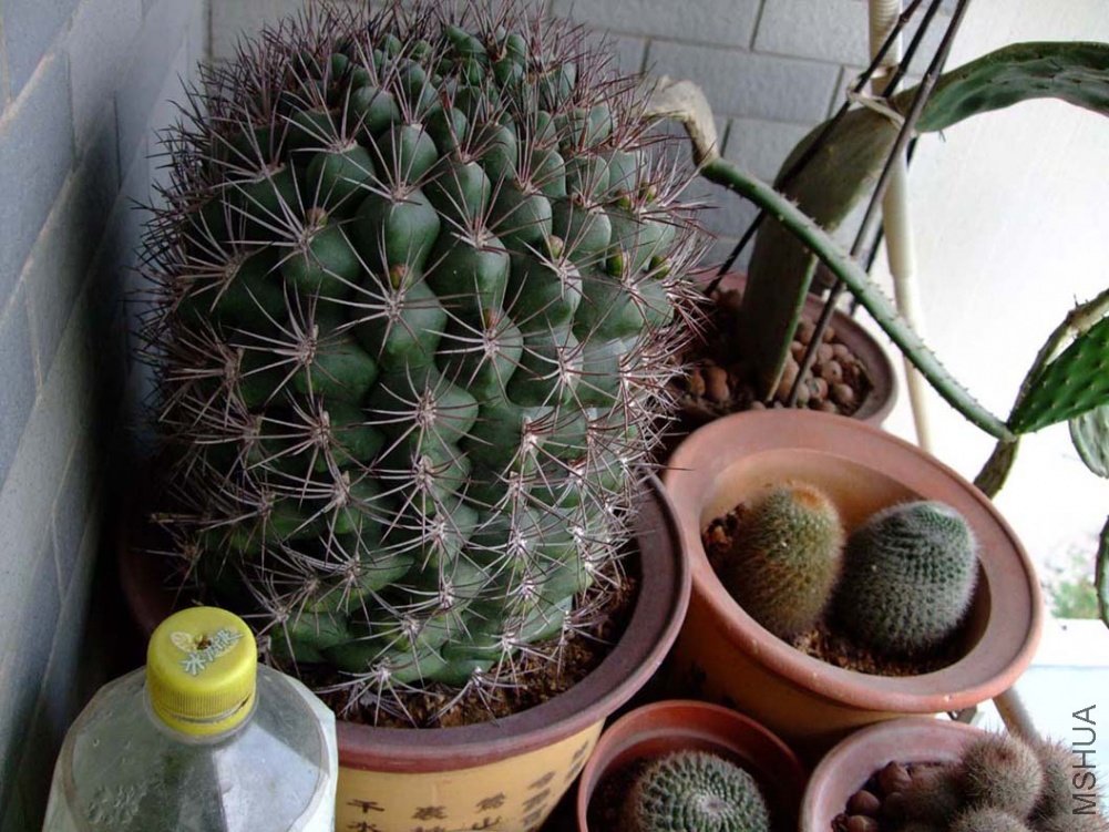 ��Ƭ11-5-15f 01611.jpg