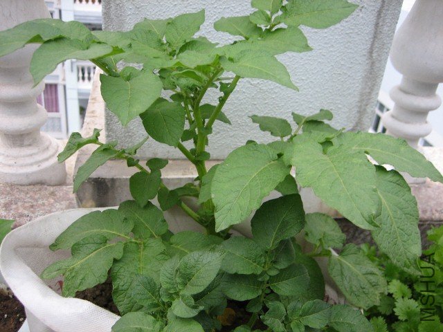 IMG_4945 (640x480).jpg