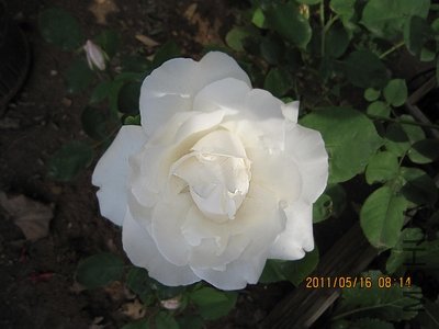 IMG_1283.jpg
