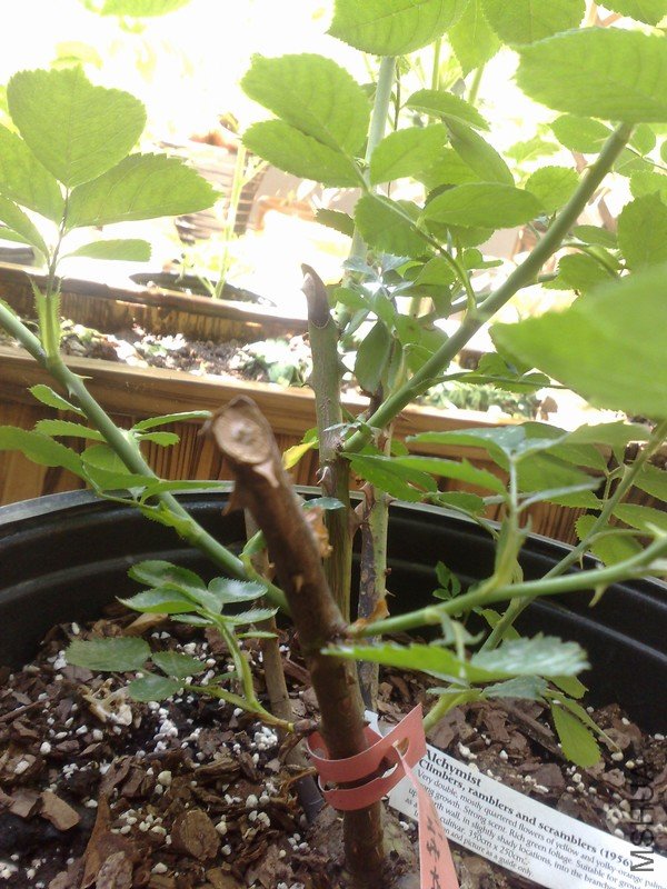 201105152063.jpg