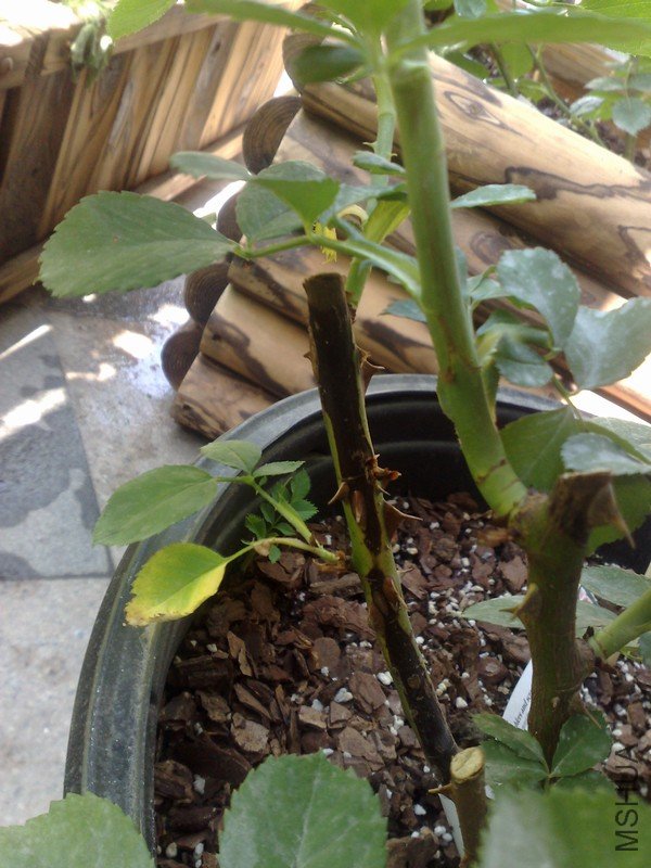 201105152065.jpg