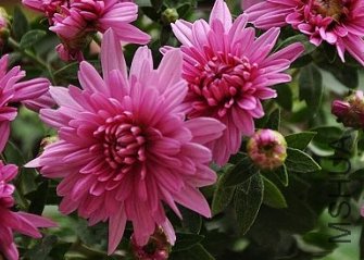 �Ҹо������涼�������Ͳ��